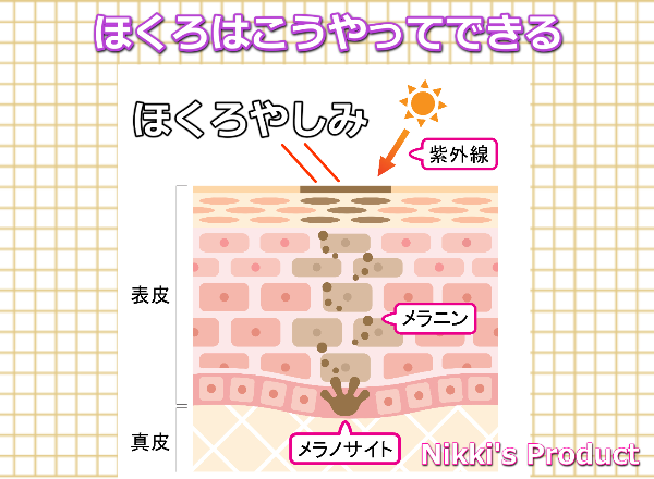 ほくろやシミの原因