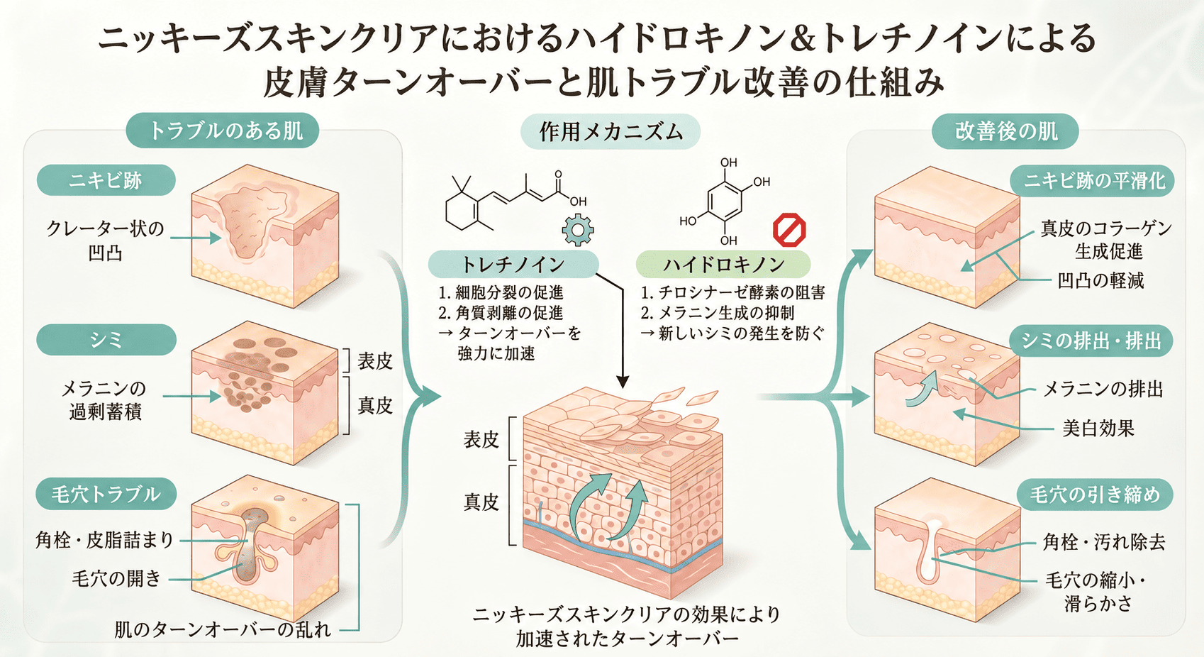 ニッキーズスキンクリアのターンオーバーと肌ケアの仕組み
